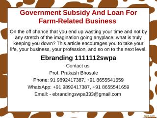 2.Government Subsidy And Loan For Farm-Related Business.ppt